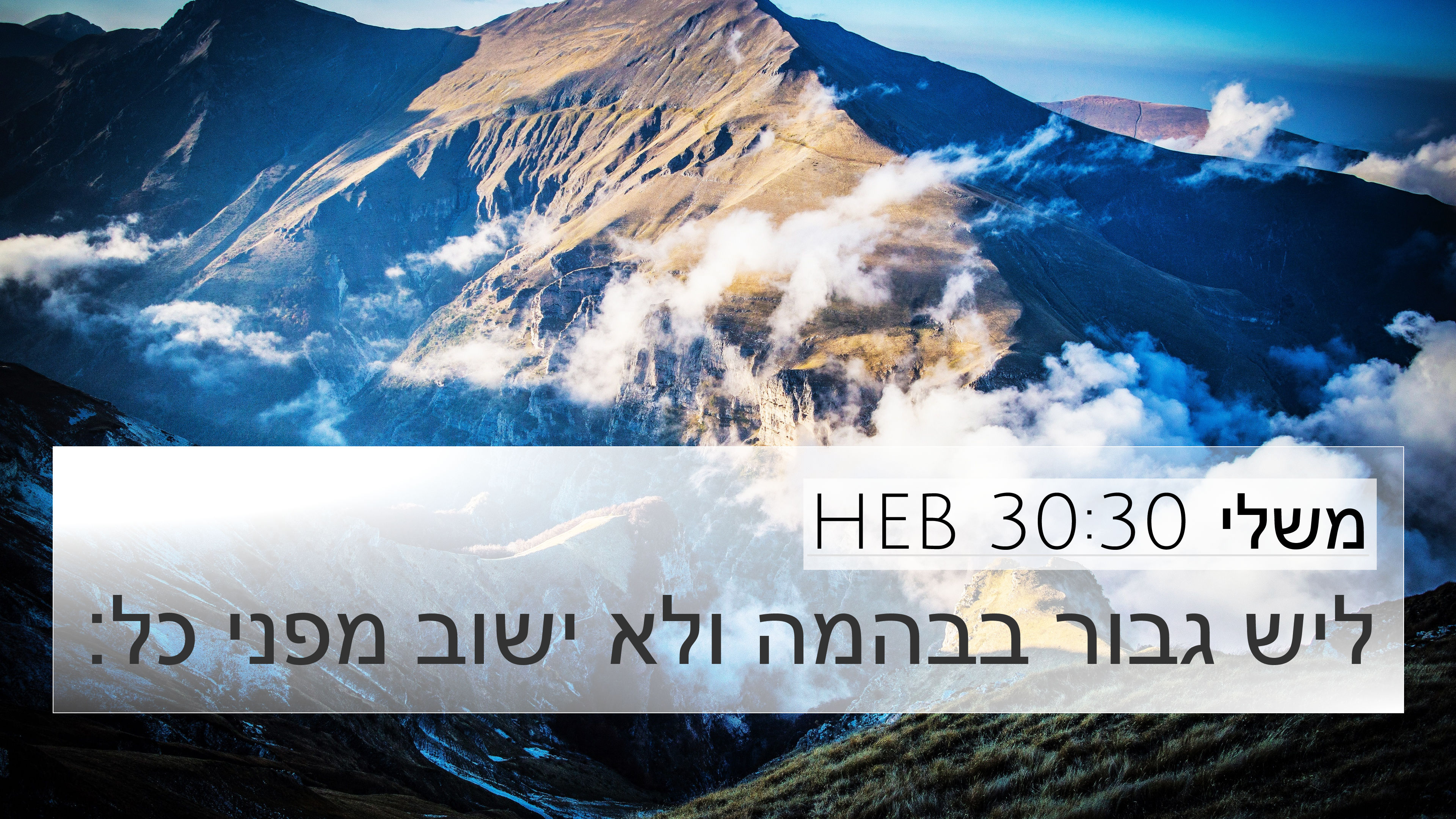 משלי 30:30 HEB 4K Wallpaper - ליש גבור בבהמה ולא ישוב