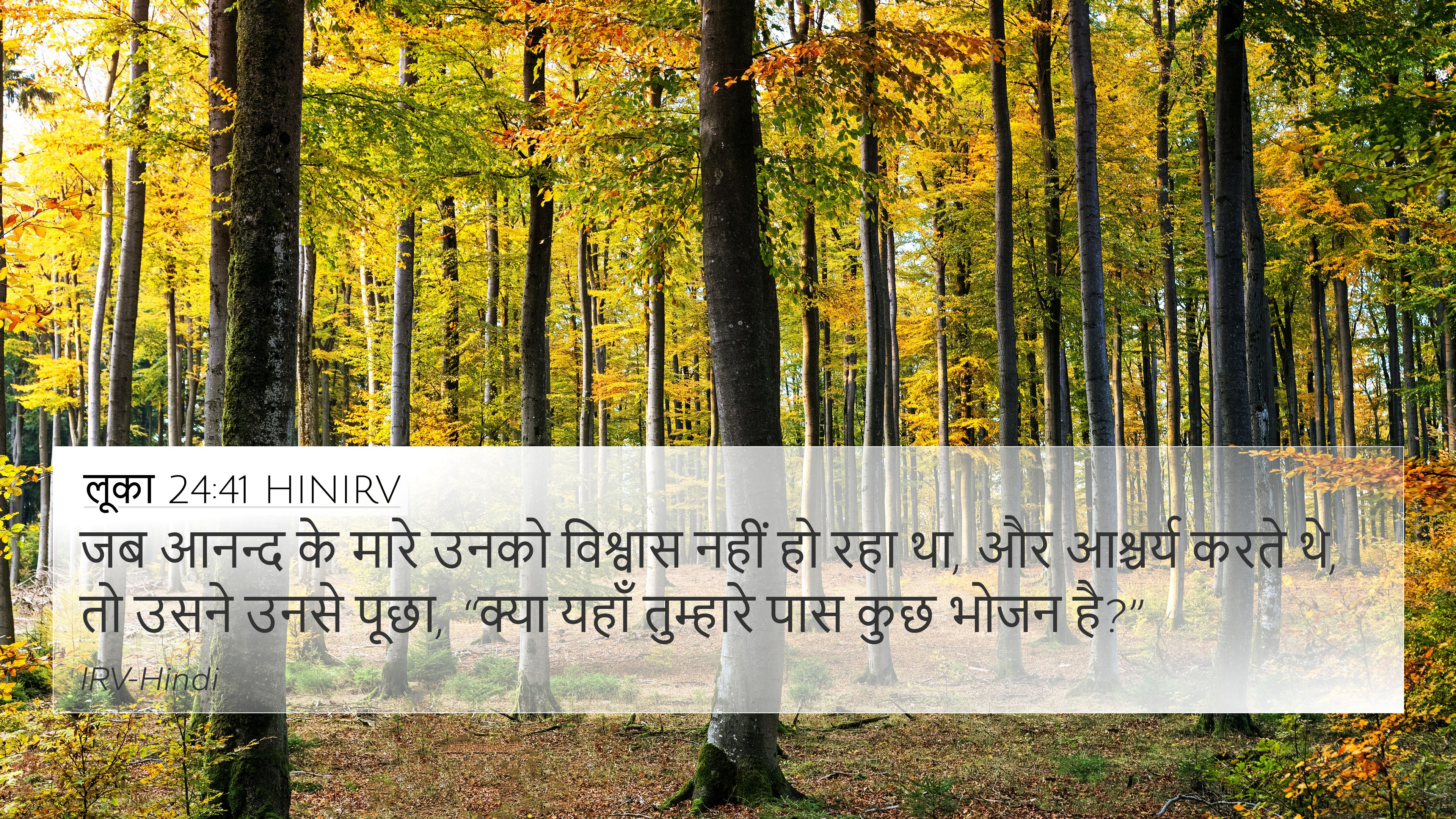 लूका 24:41 HINIRV 4K Wallpaper - जब आनन्द के मारे