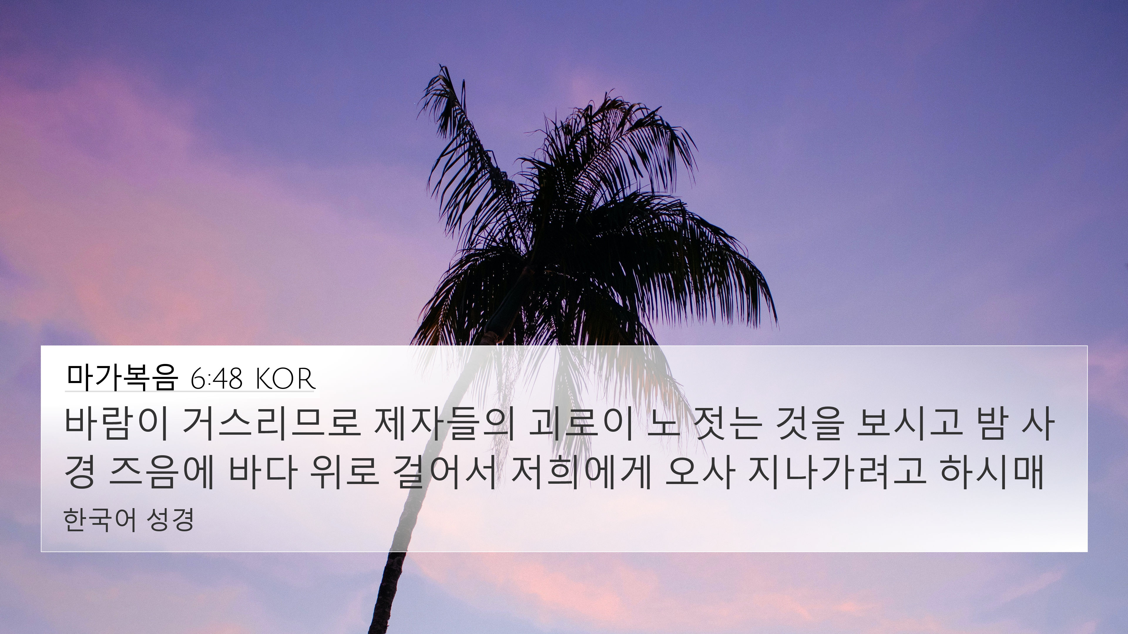 마가복음 6:48 KOR 4K Wallpaper - 바람이 거스리므로 제자들의 괴로이
