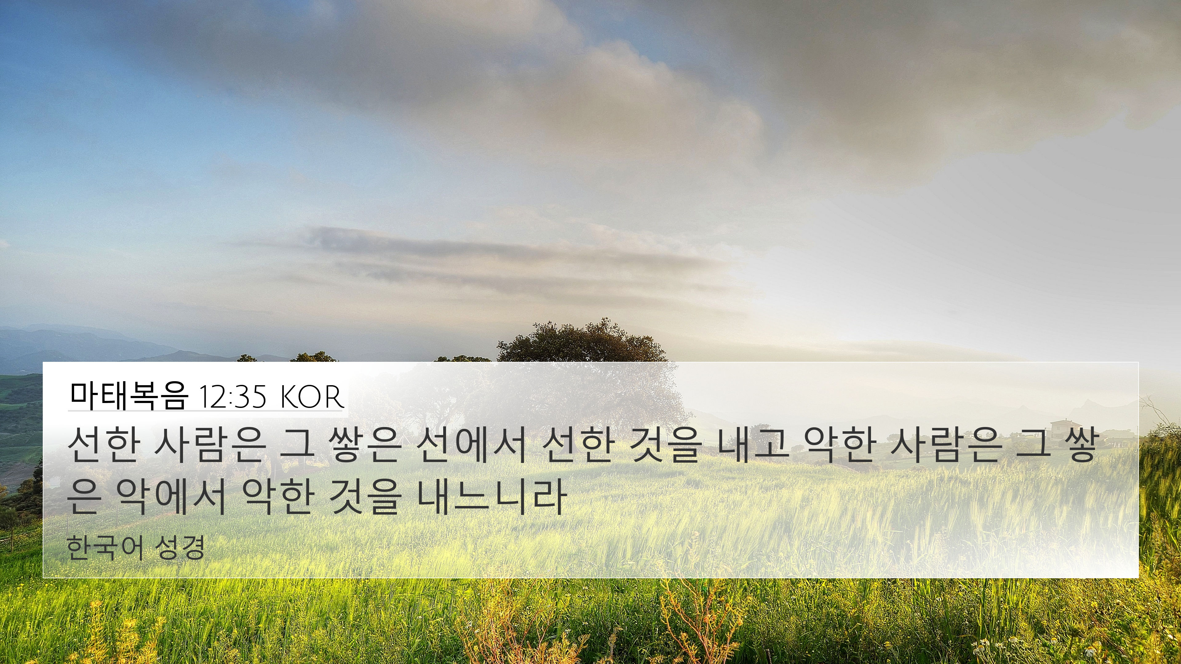 마태복음 12:35 KOR 4K Wallpaper - 선한 사람은 그 쌓은 선에서 선한