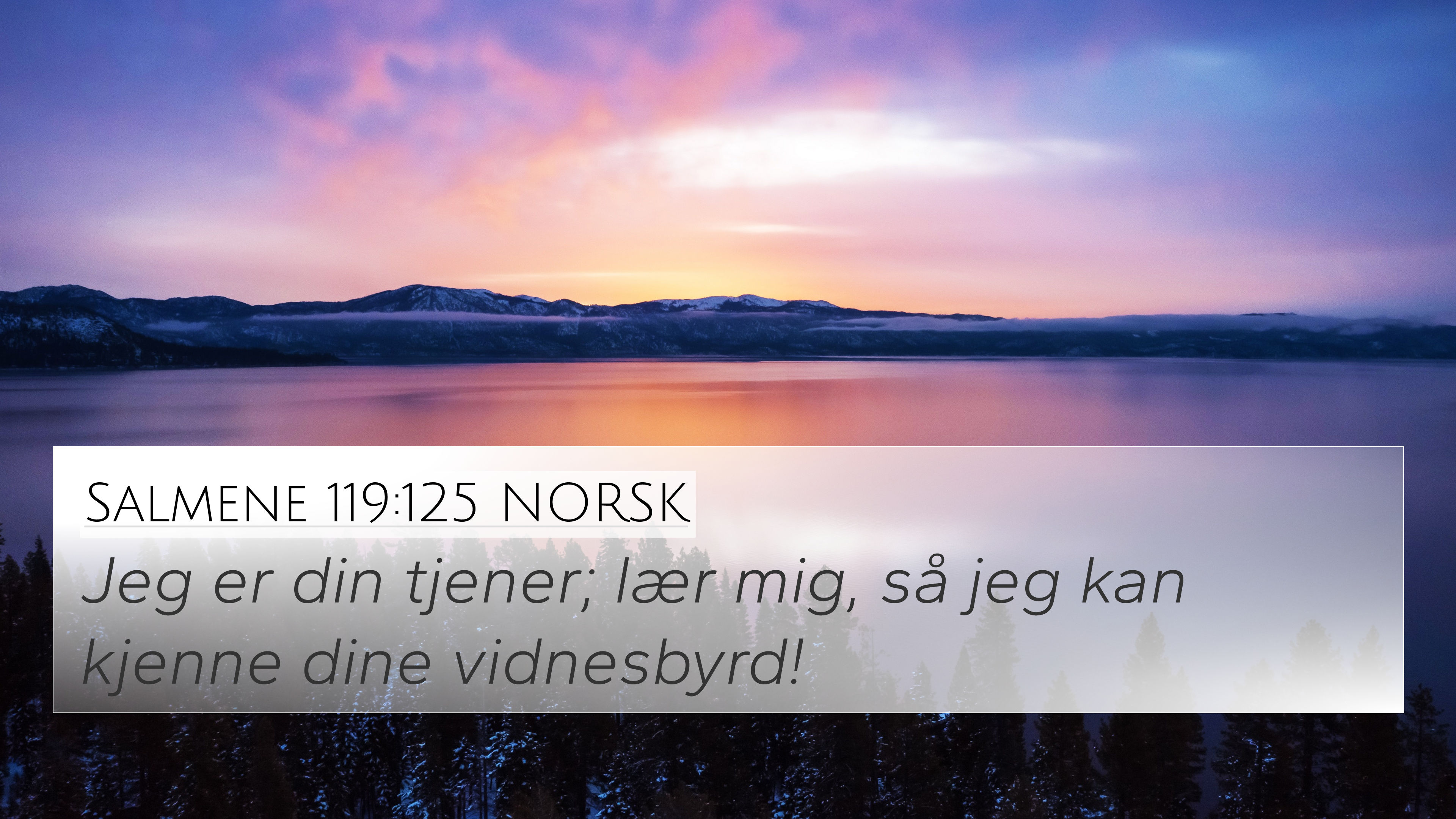 Salmene 119:125 NORSK 4K Wallpaper - Jeg Er Din Tjener; Lær Mig, Så Jeg ...