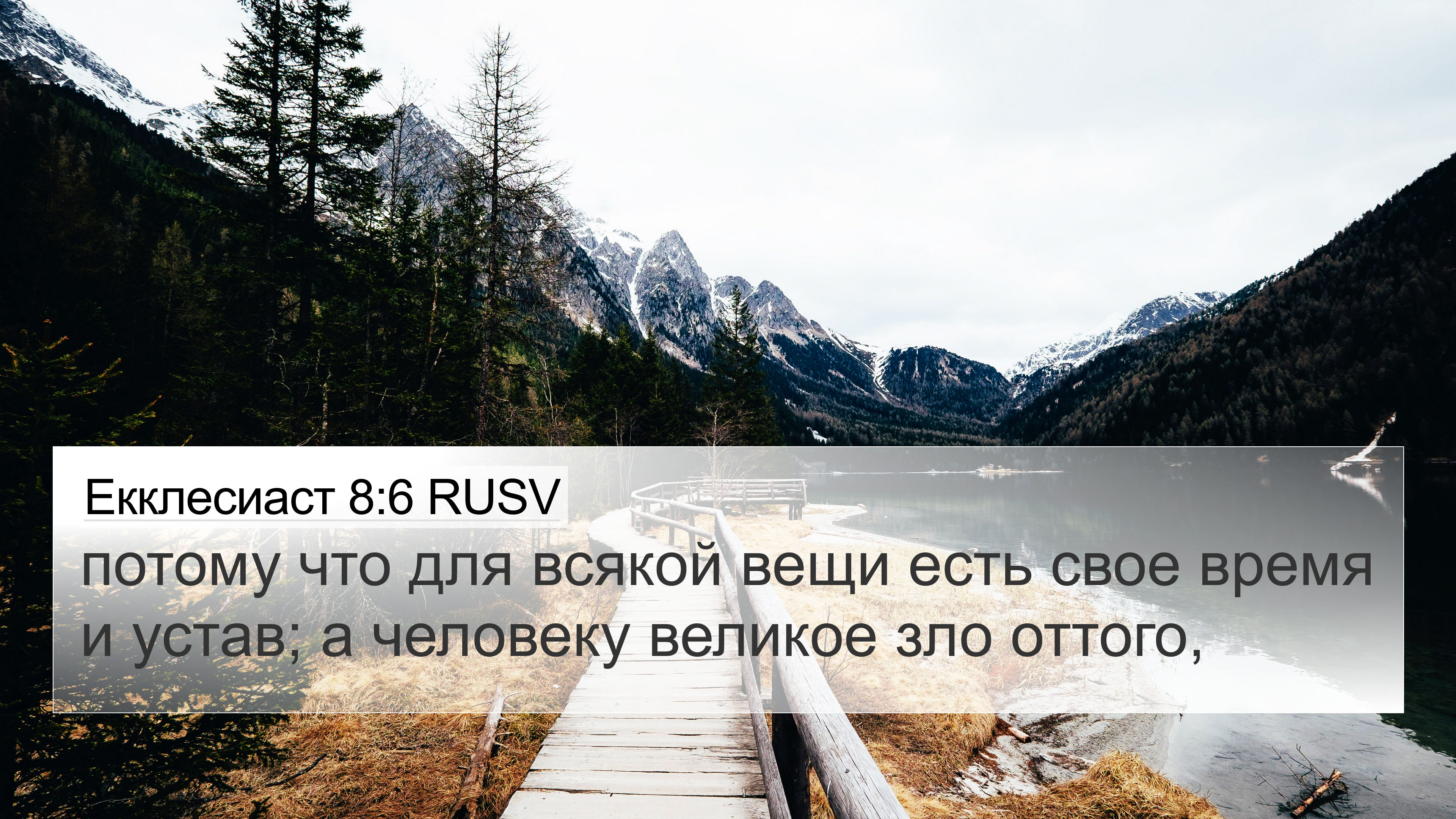 Екклесиаст 8:6 RUSV 4K Wallpaper - потому что для всякой вещи