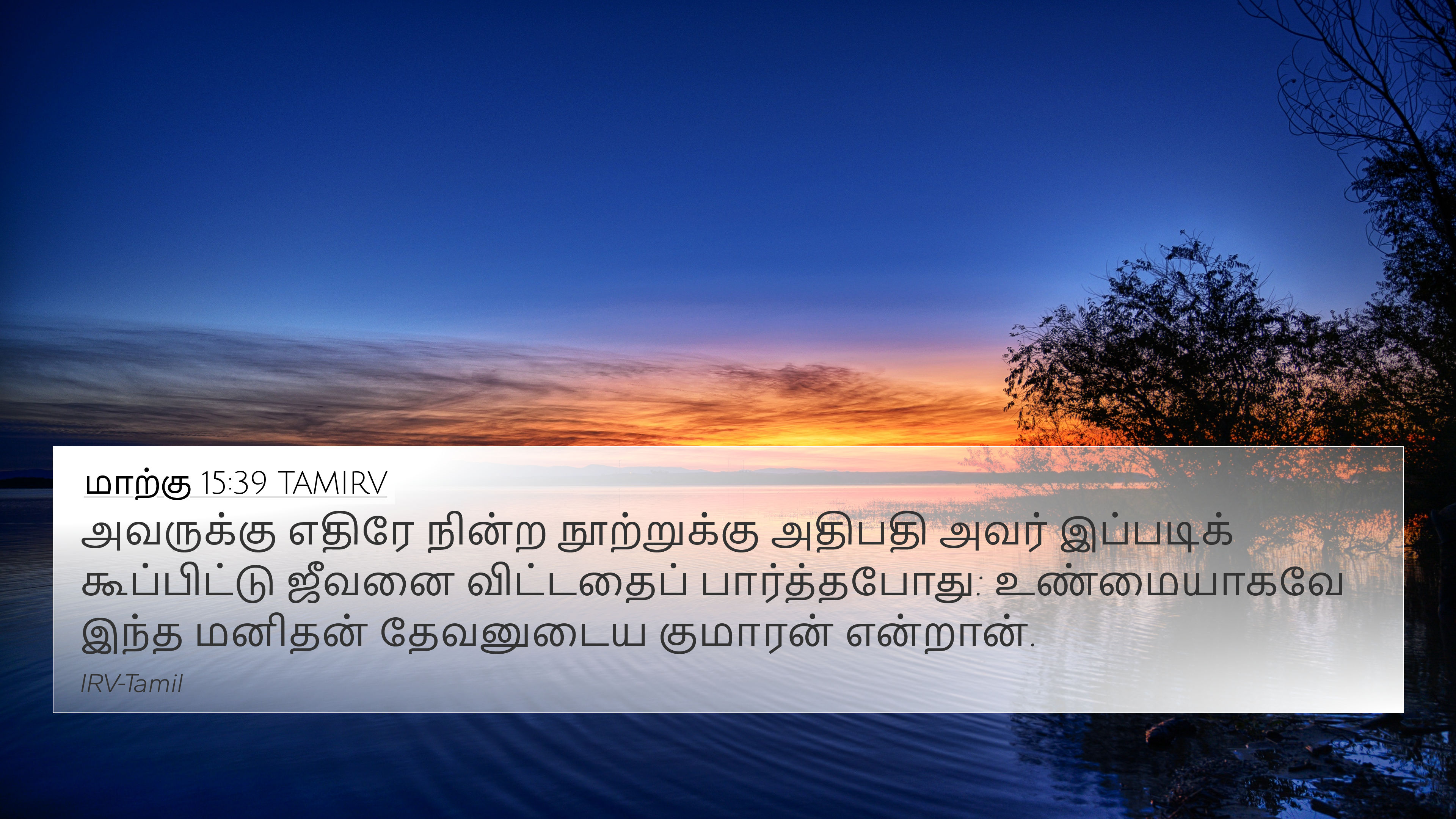 மாற்கு 15:39 TAMIRV 4K Wallpaper - அவருக்கு எதிரே