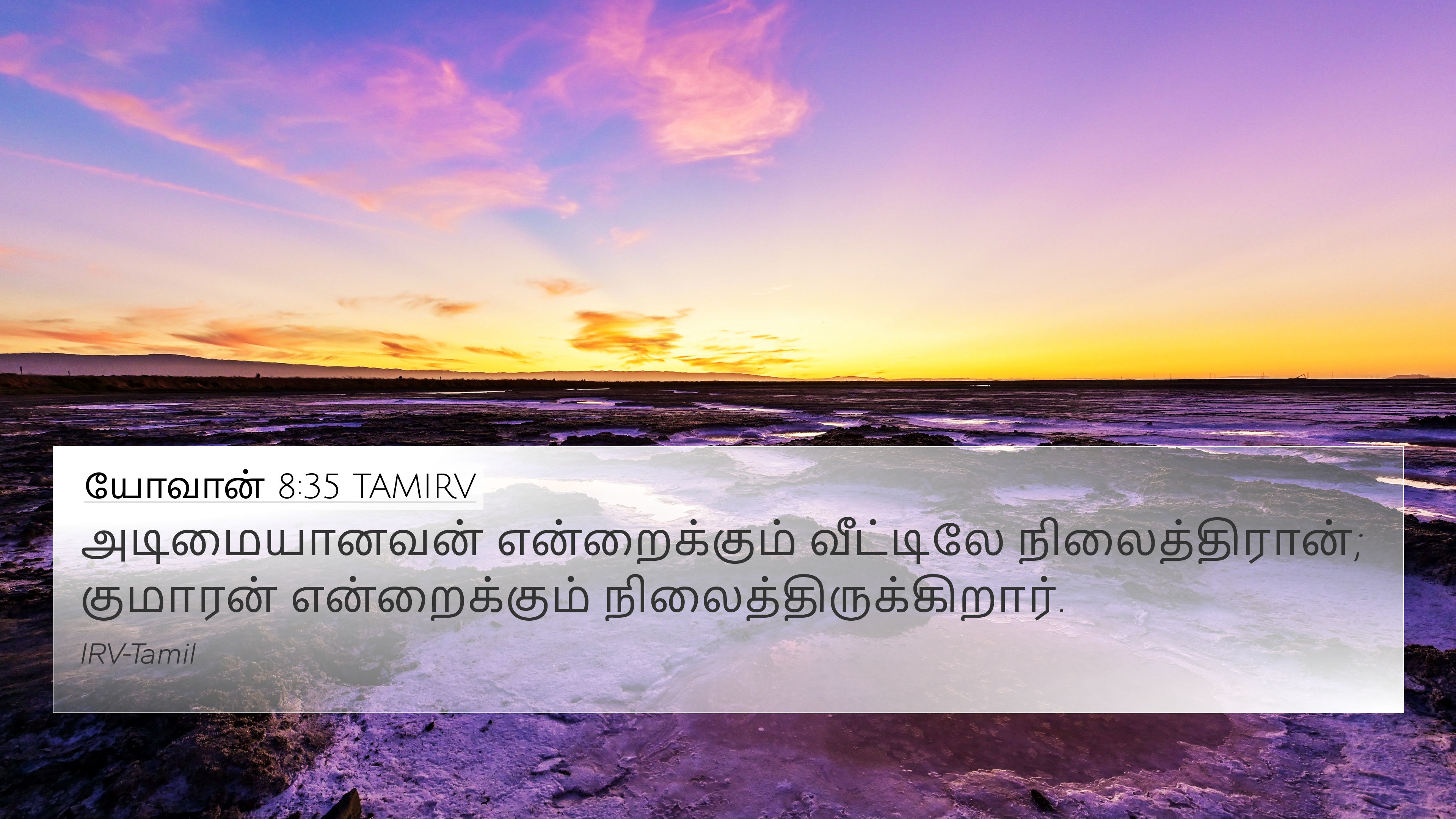 யோவான் 8:35 TAMIRV 4K Wallpaper - அடிமையானவன்