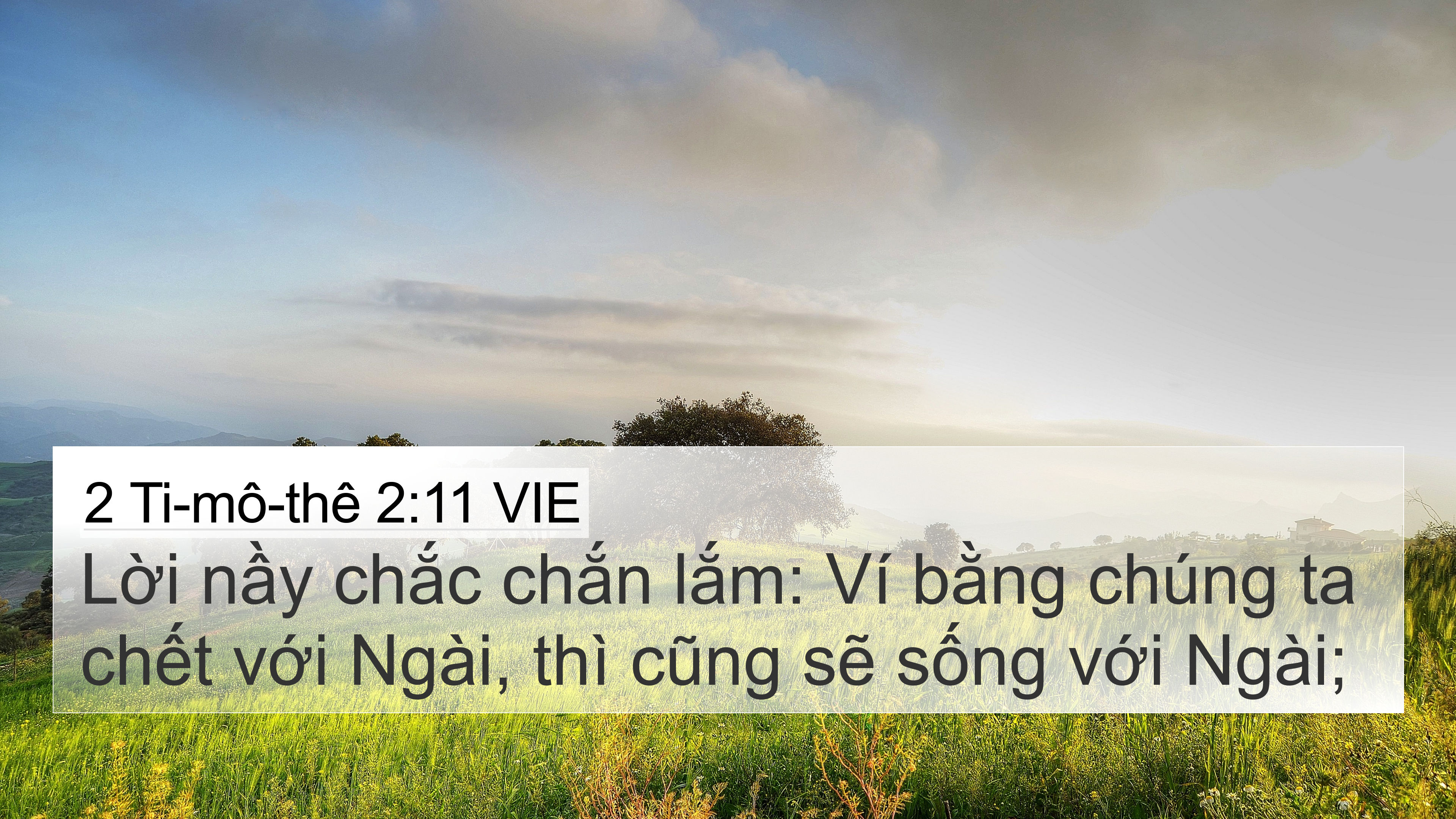 2 Ti-mô-thê 2:11 VIE 4K Wallpaper - Lời nầy chắc chắn lắm: Ví bằng